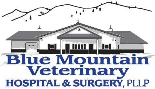 Blue Mountain Veterinary Hospital & Surgery